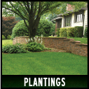 Plantings